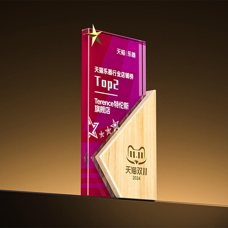 品牌喜訊丨TERENCE特倫斯榮登2024天貓雙榜 —— 天貓雙十一樂器行業店鋪榜TOP2和天貓618年中狂歡節(jié)樂器品牌TOP10